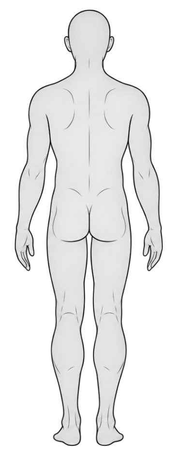 Back body view
