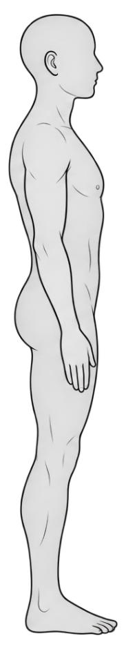 Right side body view